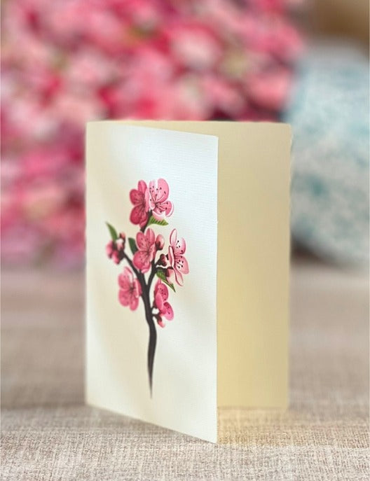 Cherryblossom | Fresh Cut Paper Pop Up Bouquet & Card - 3716