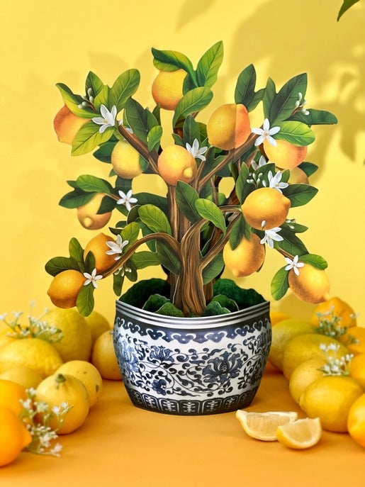 Lemon Tree | Fresh Cut Paper Pop Up Bouquet & Card - 7113
