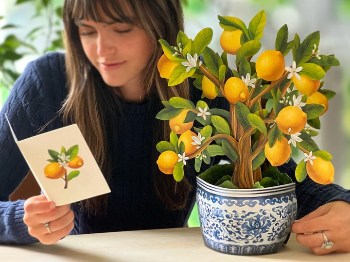 Lemon Tree | Fresh Cut Paper Pop Up Bouquet & Card - 7113