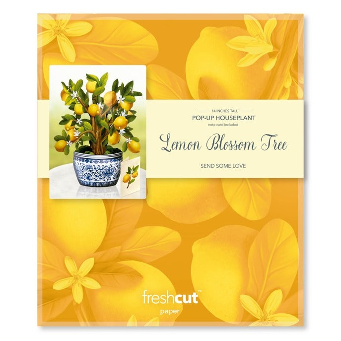 Lemon Tree | Fresh Cut Paper Pop Up Bouquet & Card - 7113