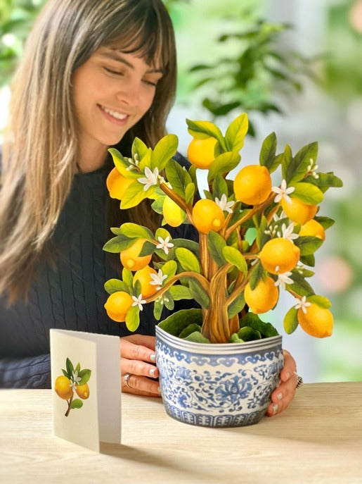 Lemon Tree | Fresh Cut Paper Pop Up Bouquet & Card - 7113