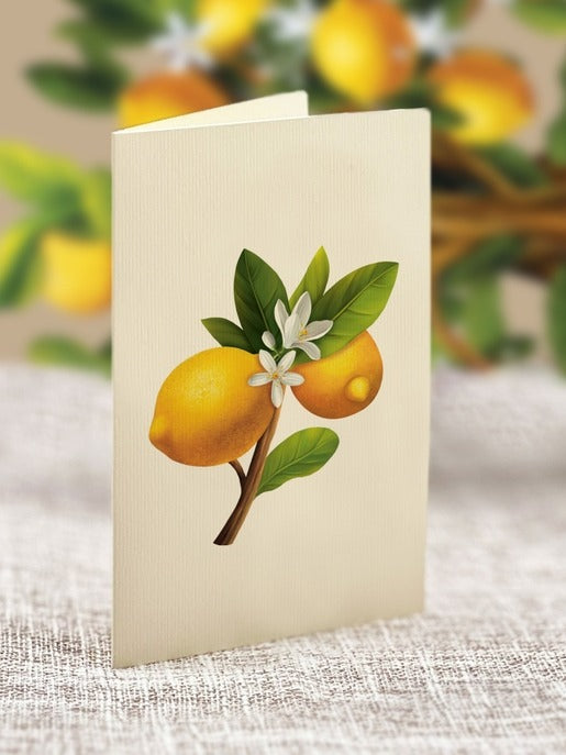 Lemon Tree | Fresh Cut Paper Pop Up Bouquet & Card - 7113