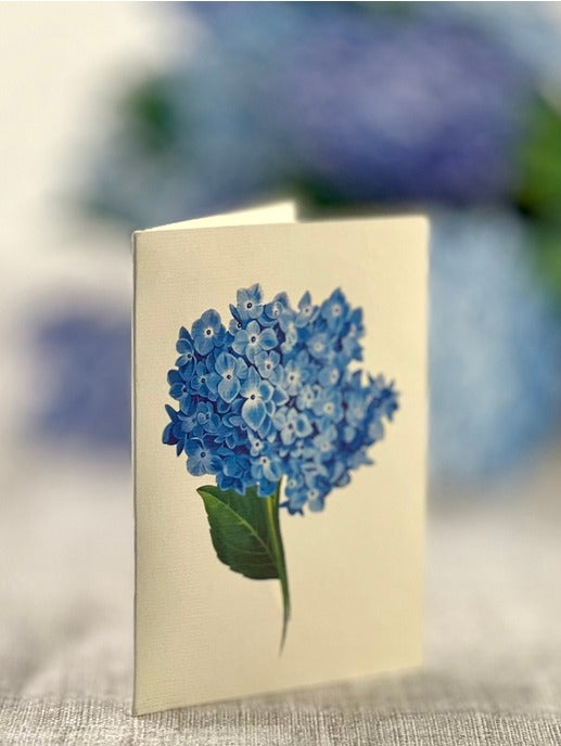 Nantucket Hydrangeas | Fresh Cut Paper Pop Up Bouquet & Card - 3719