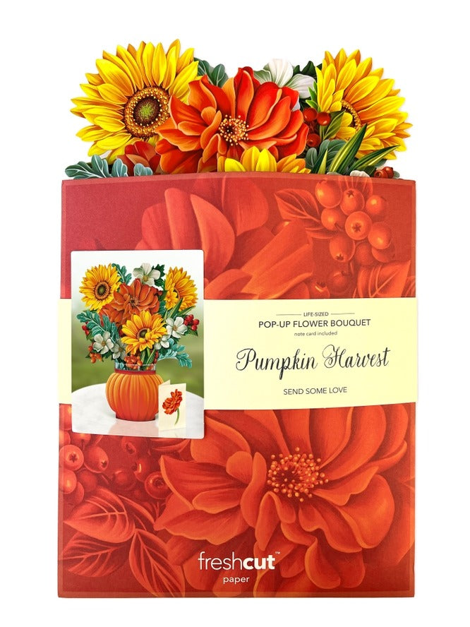 Pumpkin Harvest | Fresh Cut Paper Pop Up Bouquet & Card - 3717