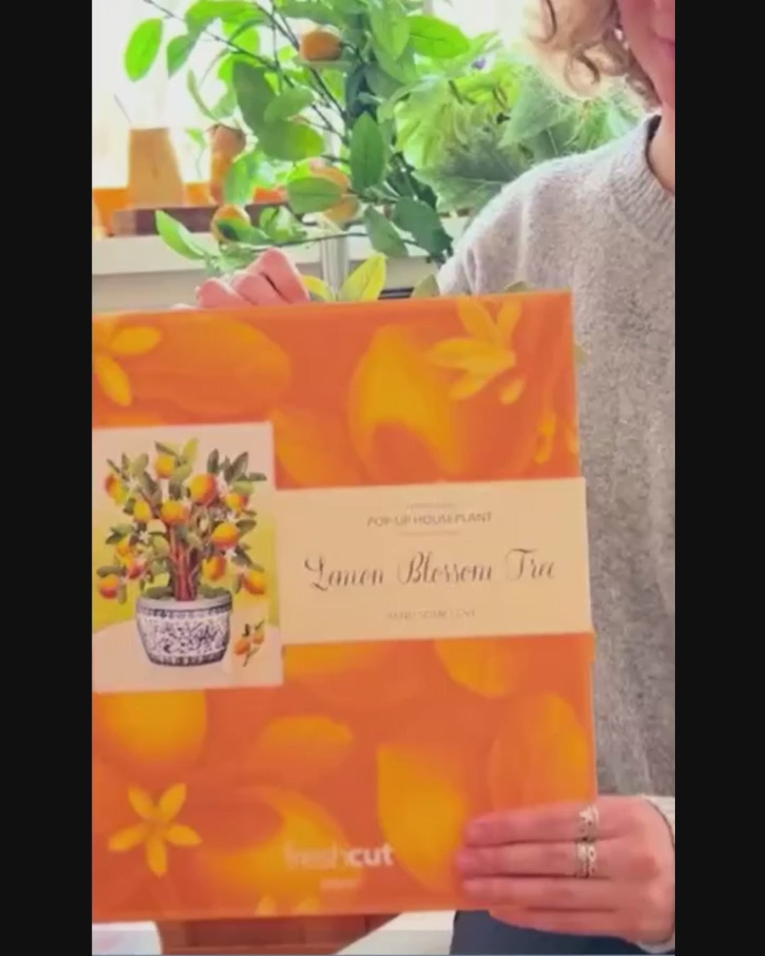 Lemon Tree | Fresh Cut Paper Pop Up Bouquet & Card - 7113